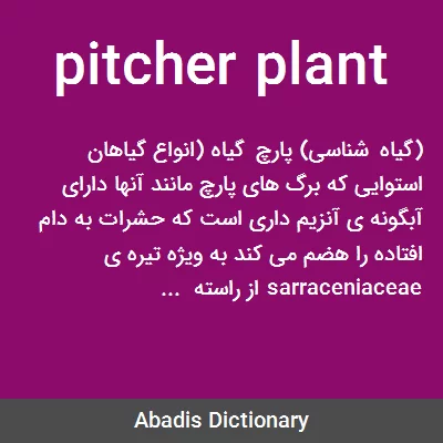 معنی pitcher plant